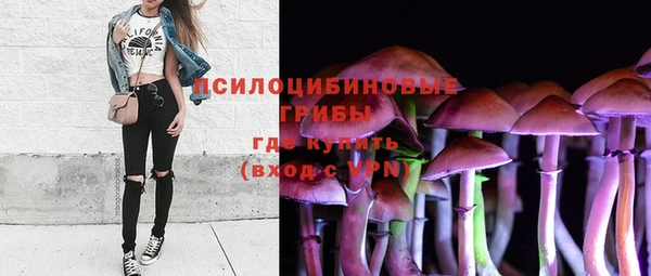 бошки Володарск